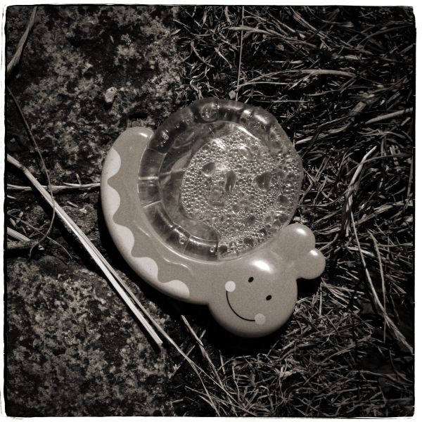 Toy Snail on Grass from Discarded a Photographic Essay by Christopher John Ball Photographer and writer