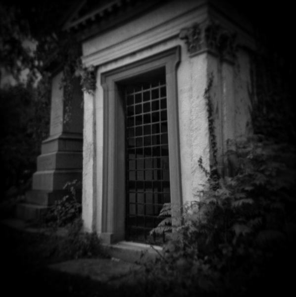 Holga Study of Abney Park in London - 2 by Christopher John Ball - Photographer & Writer Holga Study of Abney Park in London -2 by Christopher John Ball - Photographer & Writer
