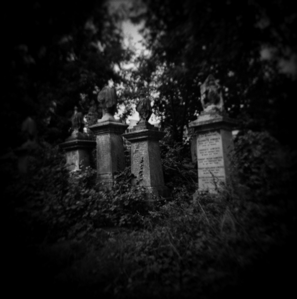 Holga Study of Abney Park in London - 4 by Christopher John Ball - Photographer & Writer Holga Study of Abney Park in London -4 by Christopher John Ball - Photographer & Writer
