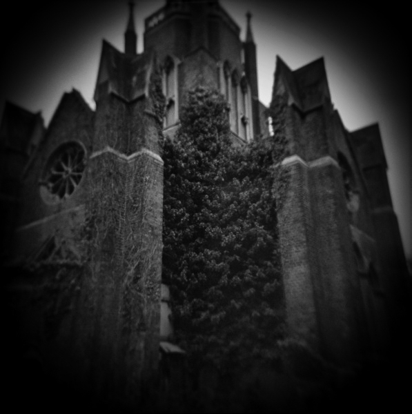Holga Study of Abney Park in London - 3 by Christopher John Ball - Photographer & Writer Holga Study of Abney Park in London -3 by Christopher John Ball - Photographer & Writer