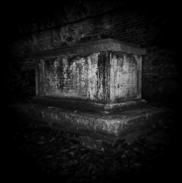 Holga Study of Corams Field Park, London - 4 by Christopher John Ball Holga Study of Corams Field Park, London - 4 by Christopher John Ball