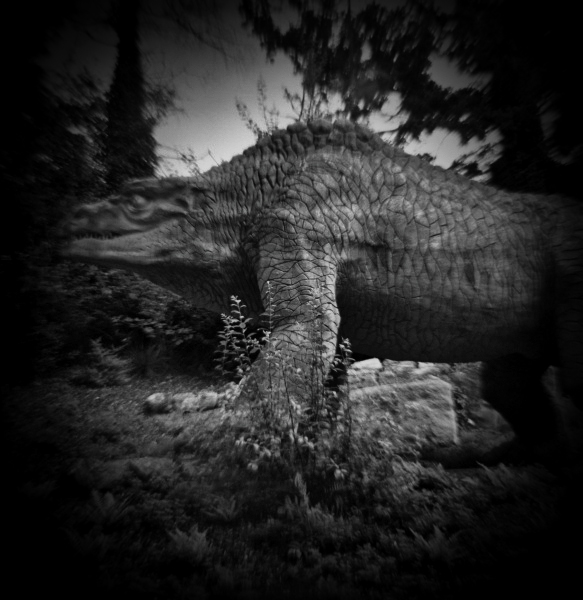 Diana Photographs of Dinosaur Court at Crystal Palace - 5 by Christopher John Ball - Photographer & Writer Diana Photographs of Dinosaur Court at Crystal Palace - 5 by Christopher John Ball - Photographer & Writer
