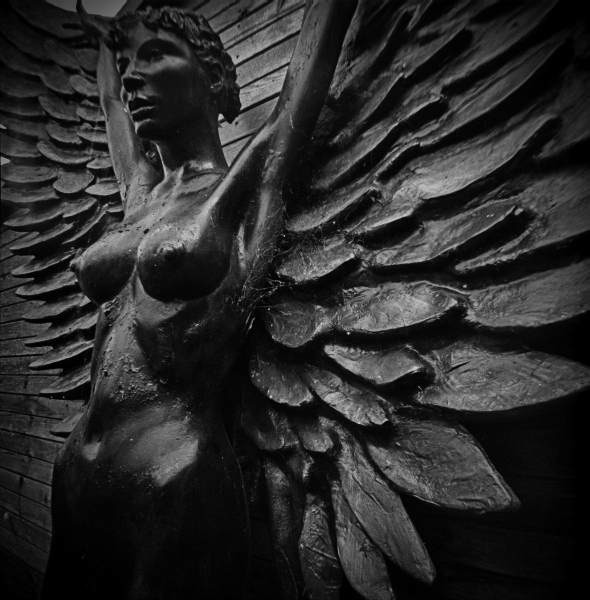 Holga Series 'Shame?' - 2 by Christopher John Ball