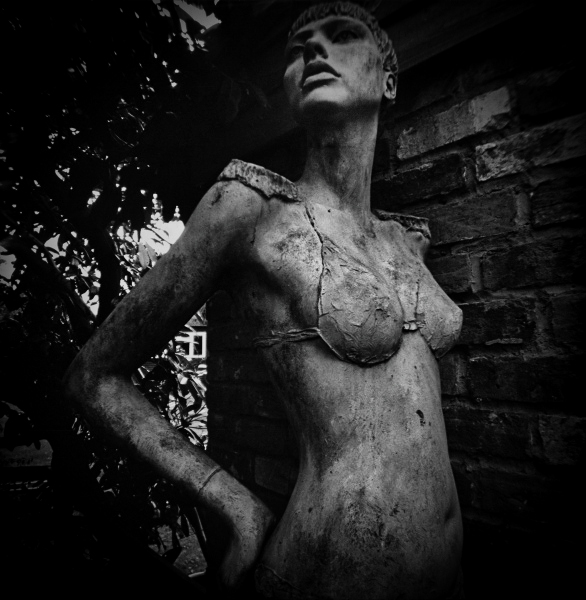 Holga Series 'Watchers' - 4 by Christopher John Ball - Photographer & Writer Holga Series 'Watchers' - 4 by Christopher John Ball - Photographer & Writer