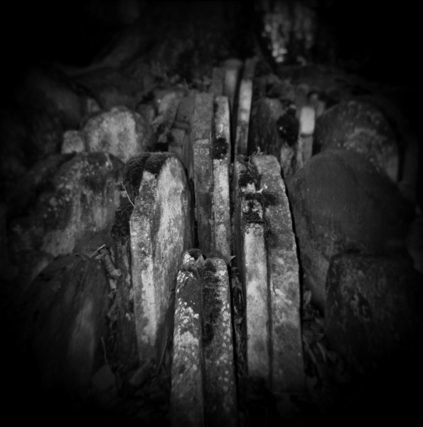 Holga Photograph of St Pancras Graveyard -2 by Christopher John Ball - Photographer & Writer Holga Photograph of St Pancras Graveyard -2 by Christopher John Ball - Photographer & Writer