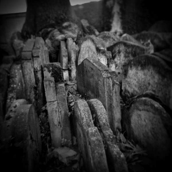 Holga Photograph of St Pancras Graveyard -3 by Christopher John Ball - Photographer & Writer Holga Photograph of St Pancras Graveyard -3 by Christopher John Ball - Photographer & Writer