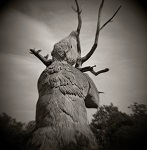 Diana Photographs of Dinosaur Court at Crystal Palace by Christopher John Ball - Photographer & Writer