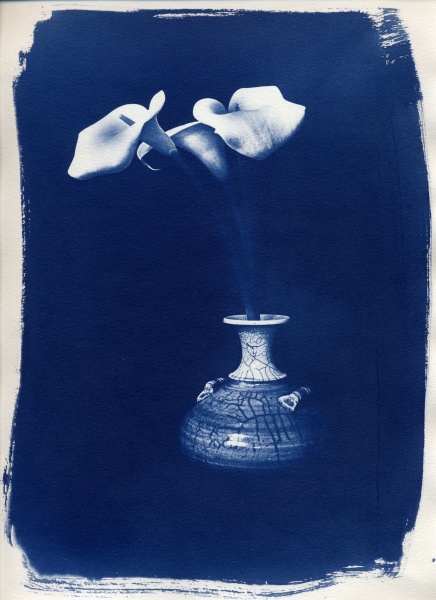 Cyanotype Flower - 2 Cyanotype Flower and Nude Photographs by Christopher John Ball - Photographer & Writer