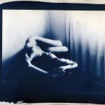 Cyanotype Flower and Nude Photographs by Christopher John Ball - Photographer & Writer