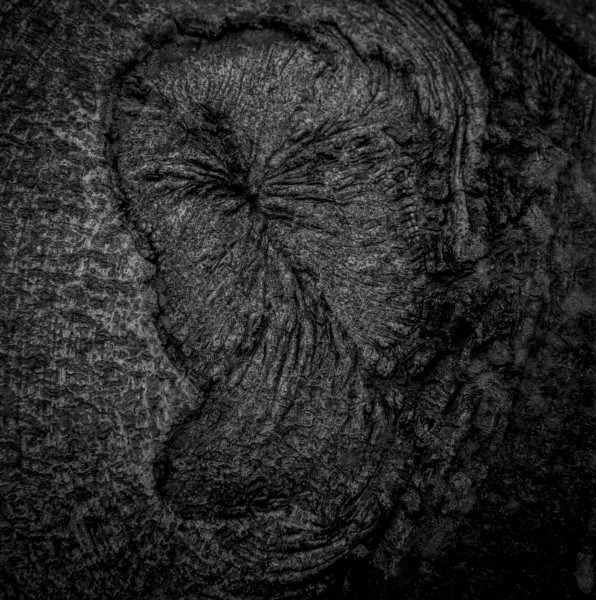 Photographic Series -Leviathan  - 9 by Christopher John Ball