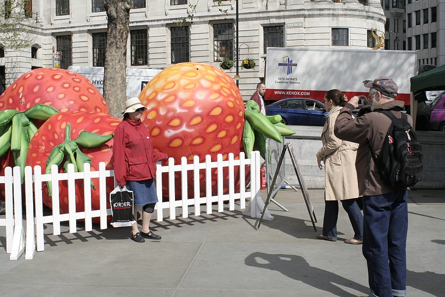 London - A City and its People - St Georges Day Trafalgar Square 2008 - A photographic study by Christopher John Ball - Photographer and Writer